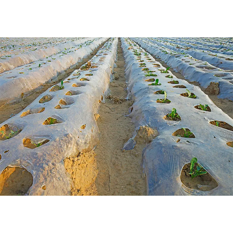 Film din plastic agricol